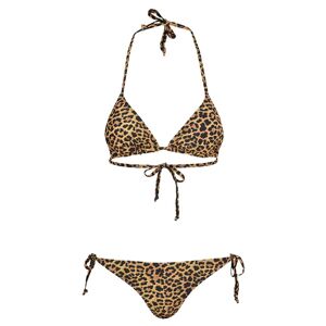 Bikini Animal UC   DamXLBrun/Svart Brun/Svart