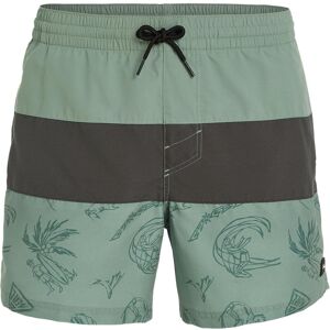 O'NEILL Mix & Match Badehose Herren grün M