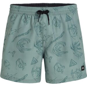 O'NEILL Mix & Match Badehose Herren grün XXL