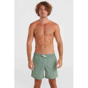 O'Neill Badeshorts »VERT 16'' SWIM SHORTS«, mit Kordel lily pad  S