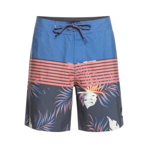Quiksilver Boardshorts »Everyday Division 17