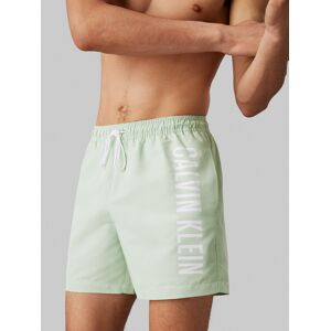 Calvin Klein Swimwear Badeshorts »MEDIUM DRAWSTRING«, mit kontrastfarbenem... Pastel Green Größe L (52)