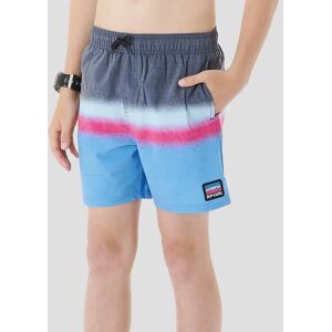 Rip Curl Surf Revival Volley Boardshorts black T12 male