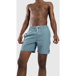 Rip Curl Daily Volley Boardshorts bluestone S male