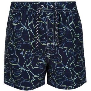 Regatta Jungen Skander Ii Shark Badeshorts