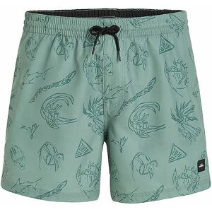 O'NEILL Herren Badeshort Cali Print 15'' hellgrün   Größe: M   2800131