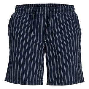 Jack & Jones Shorts - Jpstjaiden - Sky Captain/stripes - Jack & Jones - 12 År (152) - Shorts