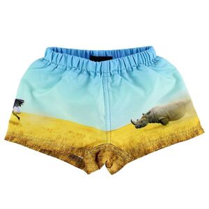 Molo Badeshorts - Uv50+ - Newton - Rhino - Molo - 56/62 - Badetøj