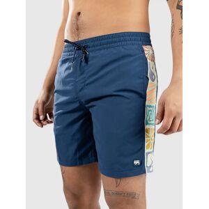 Billabong Dbah Lb Surffishortsit sininen