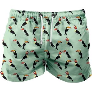 FRANKS BOARDSHORT MID COFFS MINT M