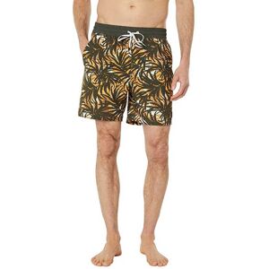 Phantom Cannonball Volley 17´´ Swimming Shorts Vert M Homme Vert M male