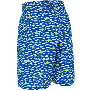 Printed 15´´ Shorts Ed Swimsuit Multicolore 14 Years Garçon