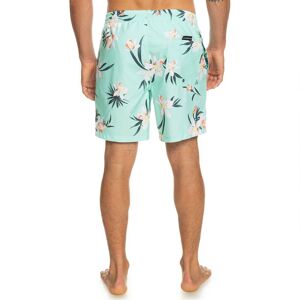 Quiksilver Everyday Mix Volley 17 Swimming Shorts Vert S Homme Vert S male