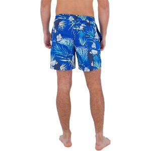 Hurley Cannonball Volley 17´´ Swimming Shorts Bleu S Homme Bleu S male