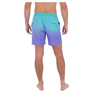 Hurley Phantom eco Cannonball Volley 17A´A´ Swimming Shorts BleuViolet L Homme BleuViolet L male