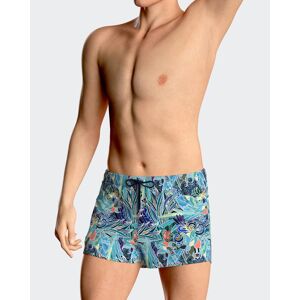 IMPETUS Short de bain court imprimé tropicale BLEU L homme - Publicité