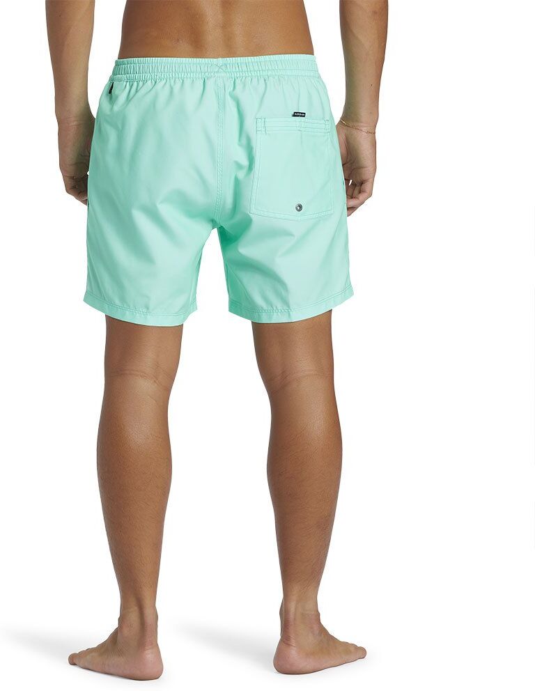 Quiksilver Solid 15´´ Swimming Shorts Vert L Homme Vert L male