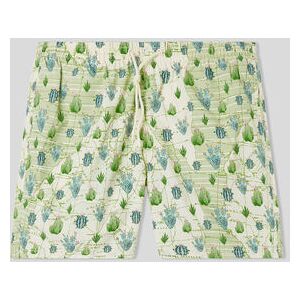 Intimissimi Costume Boxer Mare Stampa Cactus e Mappa Uomo Verde Taglia XL