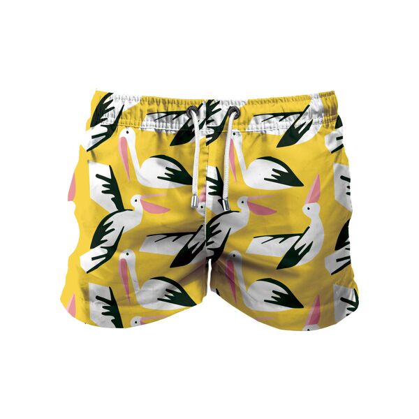 franks boardshort mid waterbird sunshine m