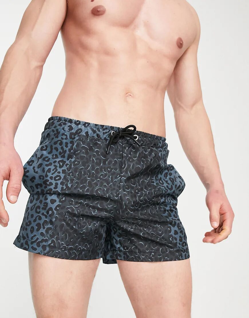 Bolongaro Trevor Sport Bolongaro Trevor safari stripe short swimshort in grey leopard-Blue  Blue