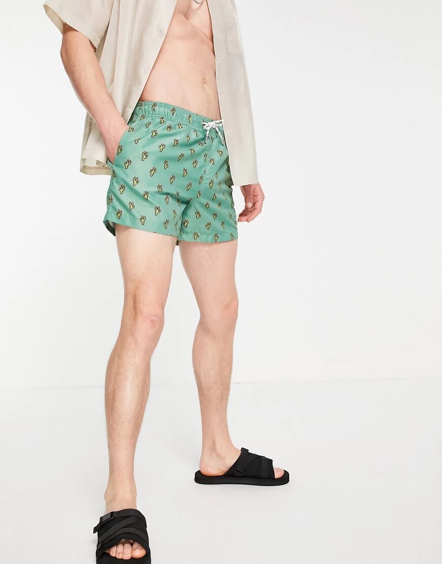 New Look cactus print swim shorts in green  Green