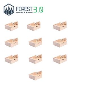 Forest USB Coffret USB Medium en Bois Personnalisable pour Photographe (16 Go 3.0, Érable 10 pièces) - Publicité