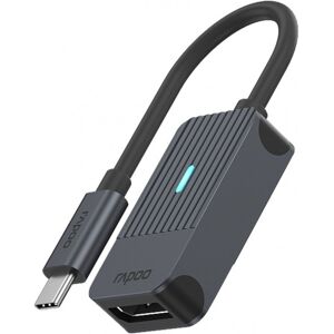 RAPOO Adaptateur USB-C vers DisplayPort