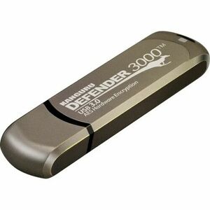 Kanguru Defender 3000 unità flash USB 256 GB tipo-C 3.2 Gen 1 (3.1 1) Grigio [KDF3000-256G]