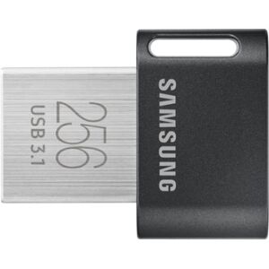 Samsung MUF-256AB unità flash USB 256 GB USB tipo A 3.2 Gen 1 (3.1 Gen 1) Grigio, Argento (MUF-256AB/APC)