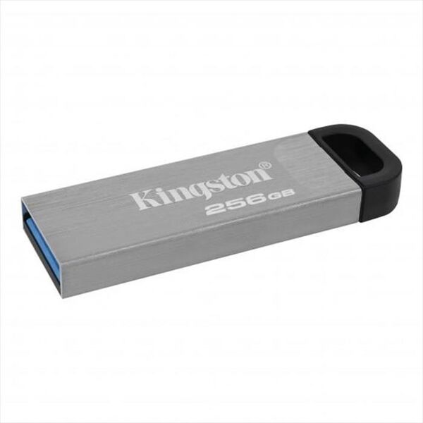 kingston memoria 256 gb dtkn256gb-argento