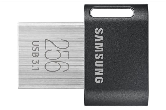 Samsung Memoria 256 Gb Muf-256ab/apc