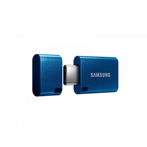 Samsung Usb Type-C Flash Drive 256gb - Minnepenn - Blå
