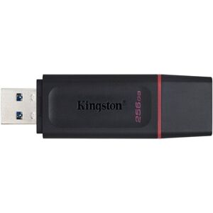 Kingston DataTraveler Exodia 256 GB