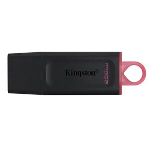 Kingston USB 3.2 Gen1 USB-minne 256GB