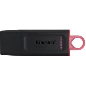 Kingston DataTraveler Exodia USB Flash Drive - 256 GB