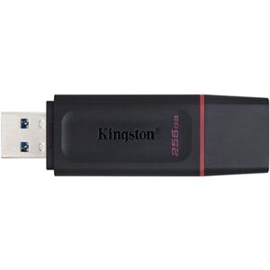 Kingston DataTraveler Exodia 256GB