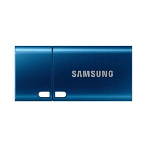 Samsung USB Flash Drive Type-C™ 256GB in Blue (MUF-256DA/APC)
