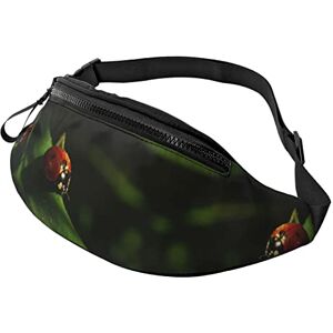 AOOEDM Ladybug Fanny Pack Gürteltasche Ladybird Hip Bum Bag für Herren Damen Outdoor Laufen Wandern - Publicité