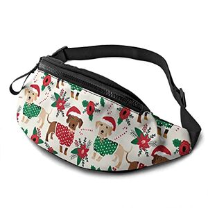 Bf635c4r80bd Cute Doxie Dachshund Dogs Waist Bag with Adjustable Strap Hip Bum Bag for Man Women Outdoors Sports Running Gym Traveling