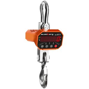 Steinberg Systems Crane Scale - 3,000 / 0.5 kg - LED SBS-KW-3/1K