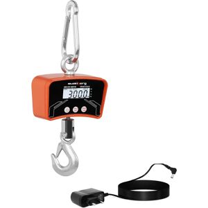 Steinberg Systems Crane Scale - 300 kg / 100 g SBS-KW-300/100