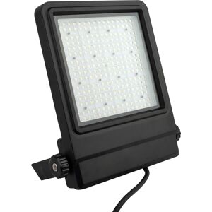 Showtec Cedda 150w Led Floodlight Hellweißer Led-Fluter Mit 150 W