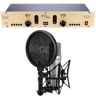 SPL Goldmike NT1-A Recording Set