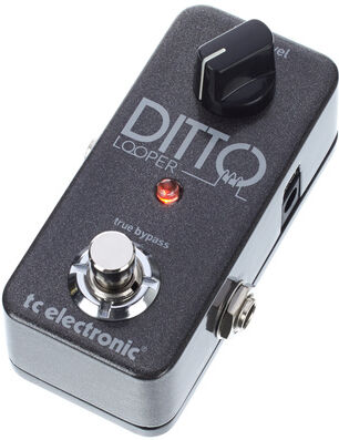 TC Electronic Ditto