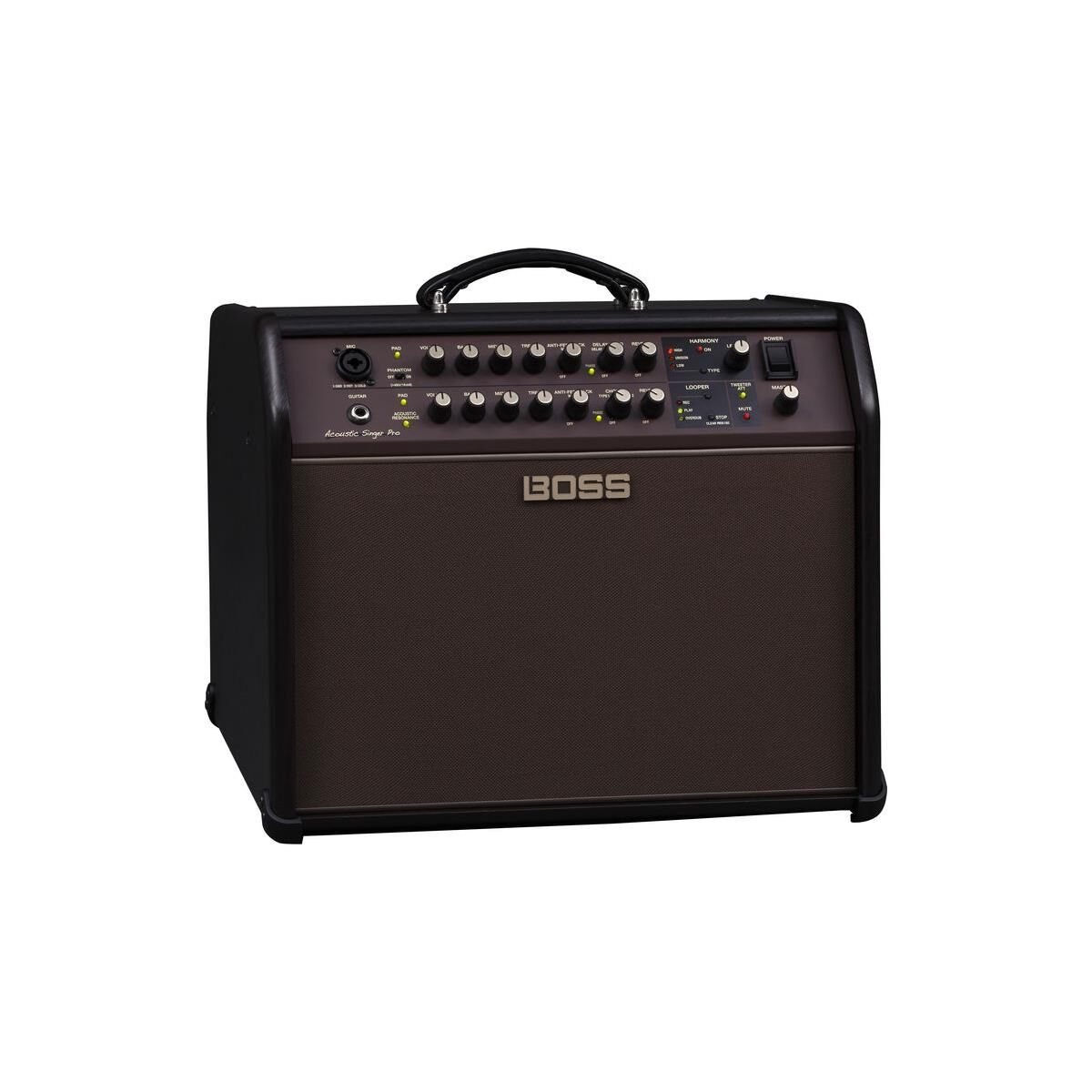 BOSS ACS Pro 120W Combo Amplifier for Acoustic Guitar and Vocals