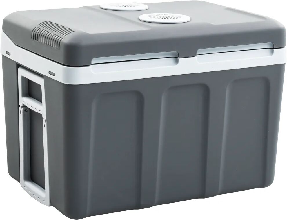 vidaXL Glacière portable thermoélectrique 45 L 12 V 230 V A++