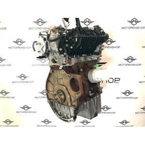 SFJA Motor 1.0 Ecoboost Ford 45Tkm