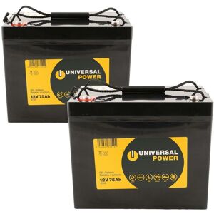 UNIVERSAL POWER Ersatzakku für evRider Porter, Breeze Scooter 24V 2 x 12V 75Ah