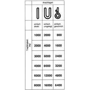 Sonstige - Rundschlinge doppelmantel2000 kg, u: 4m, N:2,0m