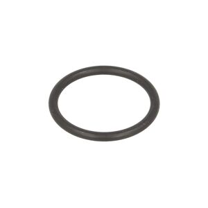 Gummi-O-Rings DT Spare Parts 1.27400